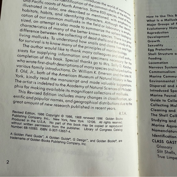 Seashells of North America A Guide to Field Identification - Picture 4 of 11